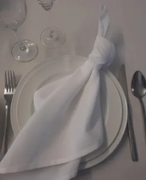 Napkins White Linen
