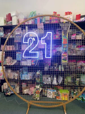 Neon Light Number 21 -includes adapter -12V