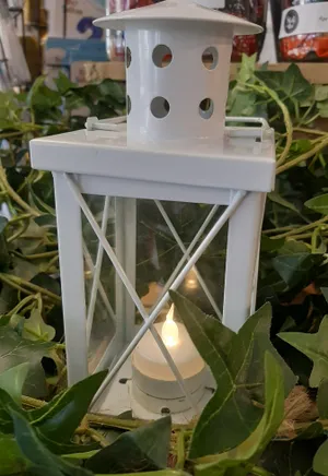 White Lanterns 20cm x9cm
