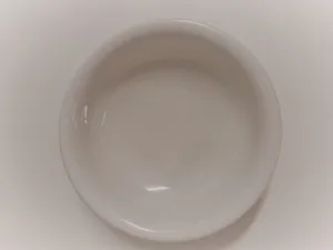 Premier Dessert Bowl (must be returned rinsed)
