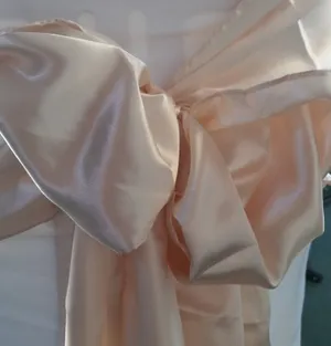 Nude Satin Sash