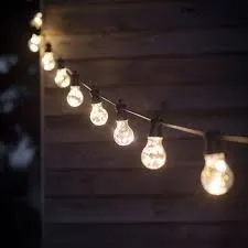 Festoon Lights 10mtr Connectable