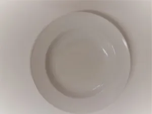 Premier Soup/Dessert Bowl Medium (must be returned rinsed)
