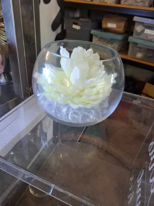 Vase - Fish Bowl Small - 13cm H x 16cm W