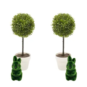 Topiary  Centerpieces