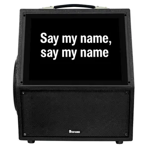 Professional Karaoke Machine