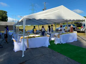 20 X 20 Tent
