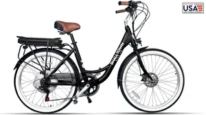 Cruiser E-Bike #11 Size Adult Small Sturgeon Bay