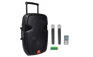 Medium Speaker with 2 Mics