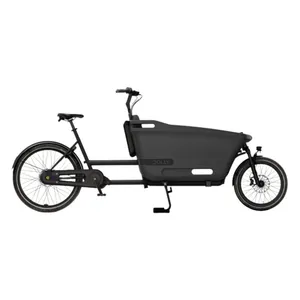 2-Wheel Cargo Bike Dolly