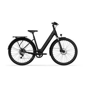 E-Bike Tenways