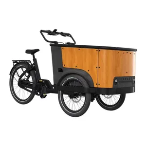 3-Wheel Cargo Bike Cangoo
