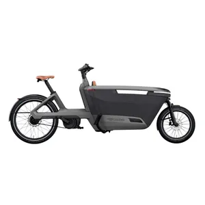 2-Wheel Cargo Bike Lovens