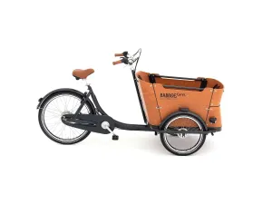3-Wheel Cargo Bike Babboe