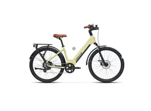E Bike
