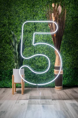 Large LED Number