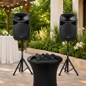 Dual Speaker Sound/PA System