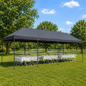 30' x 10' Gray Pop-Up Canopy