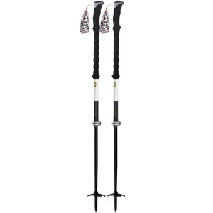 Ski Poles