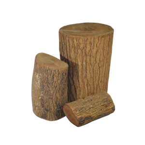 TREE STUMP - NATURAL ( SHAPE & SIZES WILL VARY SLIGHTLY)