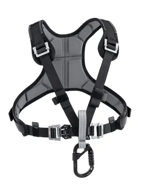 Harness