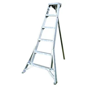 Orchard Ladder