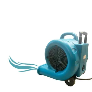 Carpet Fan