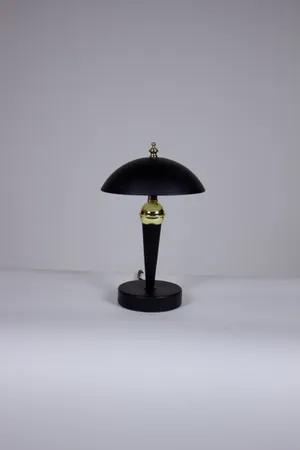 Black Dome Light