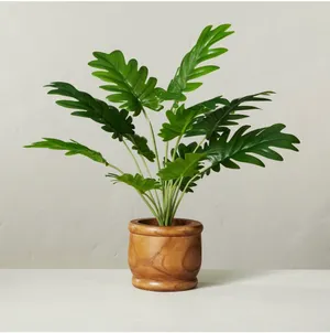 Faux Plant 1