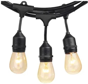 Incandescent Festoon Lights