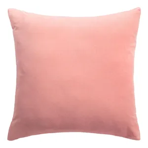Salmon Basic