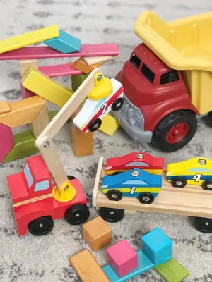 Premium Toy Package