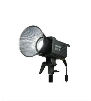 Amaran 200DS Studio LED Light 