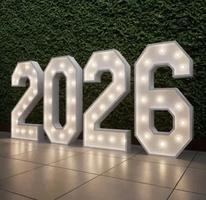 Lighted Marquee Numbers 3’