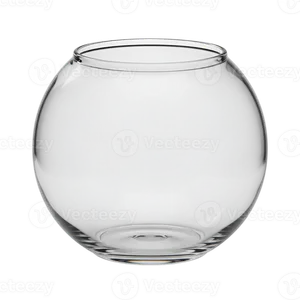 Clear Round Glass Fishbowl