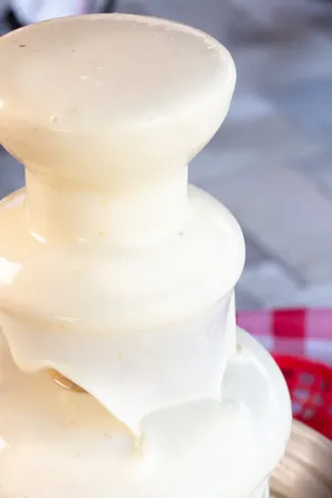 QUESO & CHOCOLATE FOUNTAIN