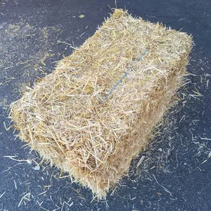 Hay Square Bales
