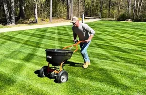 Lawn Refresh Day