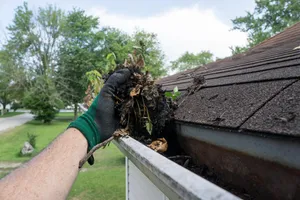 Gutter Clean Out Day