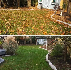 Yard Cleaning Up Day