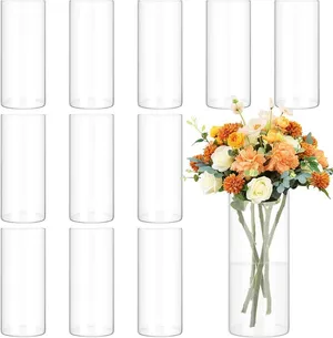 Clear Vase - 8 inch