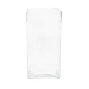 Clear Glass Square Vase - 30x15x15cm