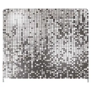 Sequin Holographic Backdrop 