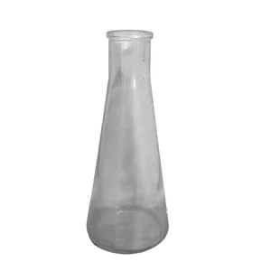 Clear Glass Beaker Bottle Bud Vase