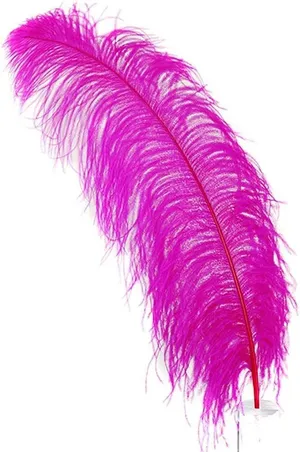 Pink Ostrich Feathers