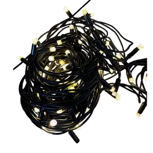 Warm white Fairy Lights on black cable