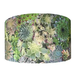 Round Succulent Shade - Extra Large