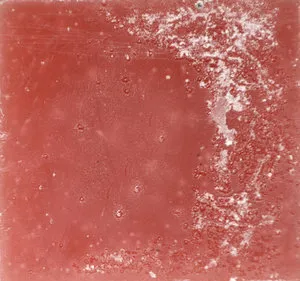 Frosted Coral Dinner Candles