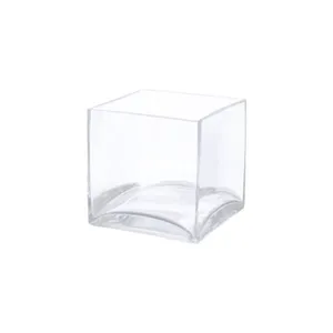 Clear Glass Square Vase - 12x12x12cm