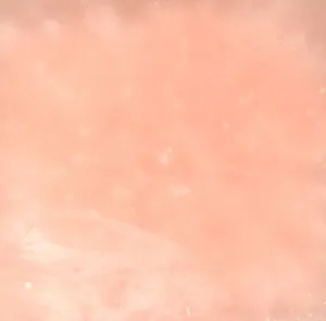 Frosted Peach Dinner Candles